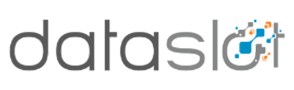 DataSlot Logo